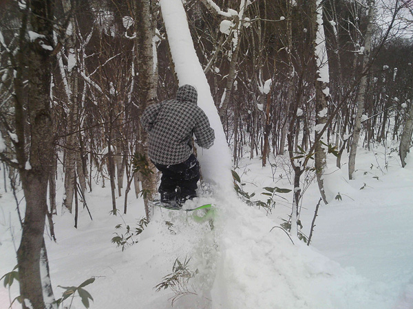 Andy&tree