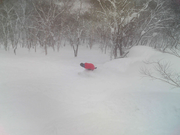 j pow shred